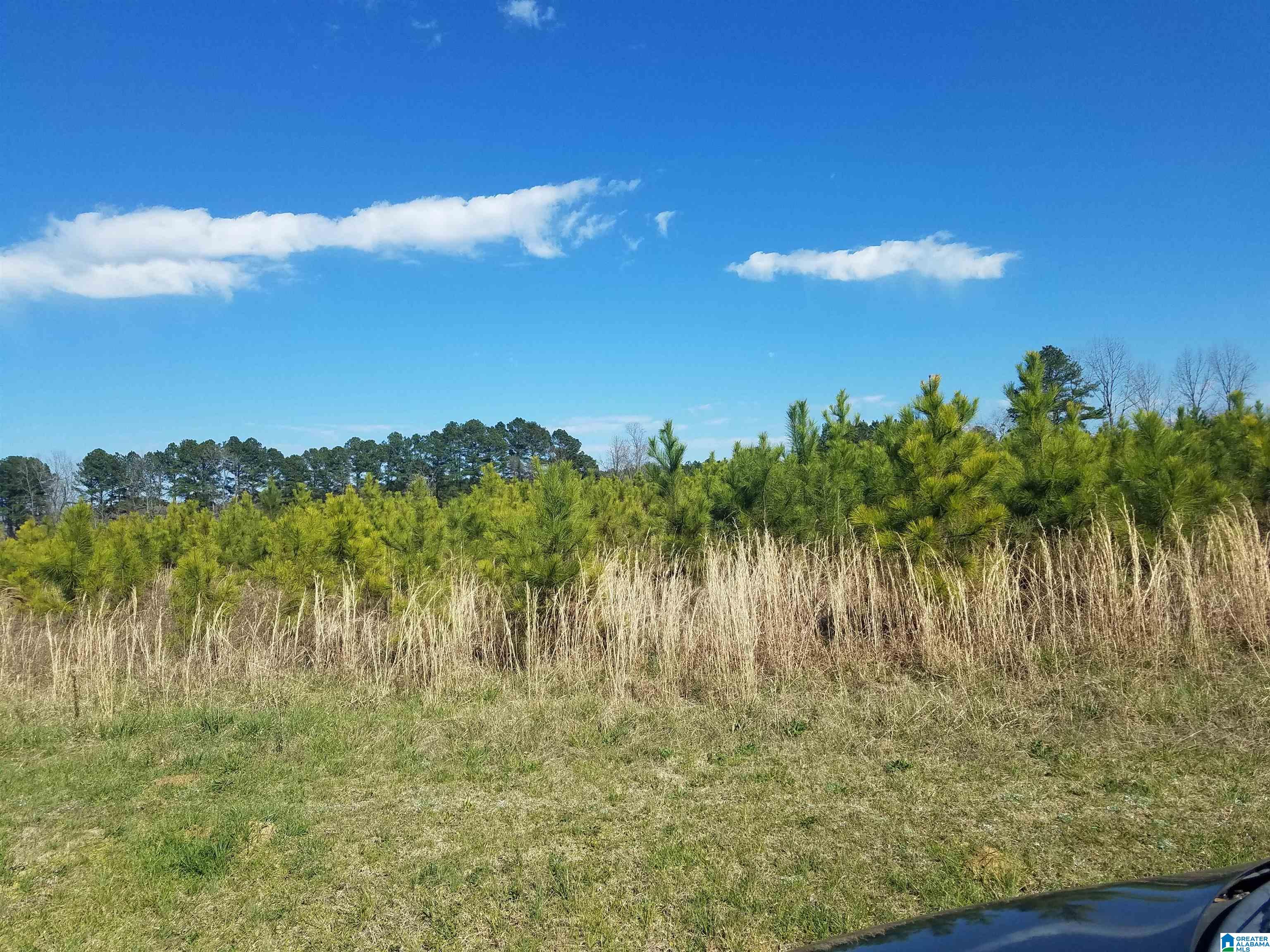 827 Low Water Bridge Road Cleveland, AL 35049 - Photo 10 of 10