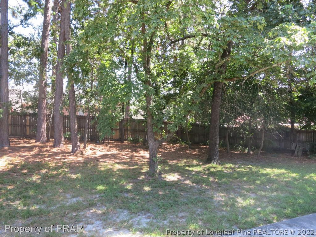 6875 Green Creek Road Fayetteville, NC 28314 - Photo 24 of 26 a view of a tree in the middle of a yard