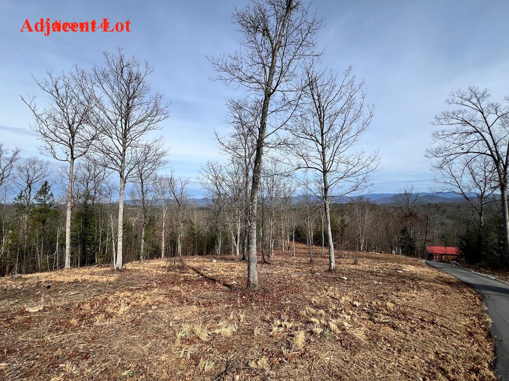 Lot 63 Lake Wood Road Murphy, NC 28906 - Photo 27 of 28