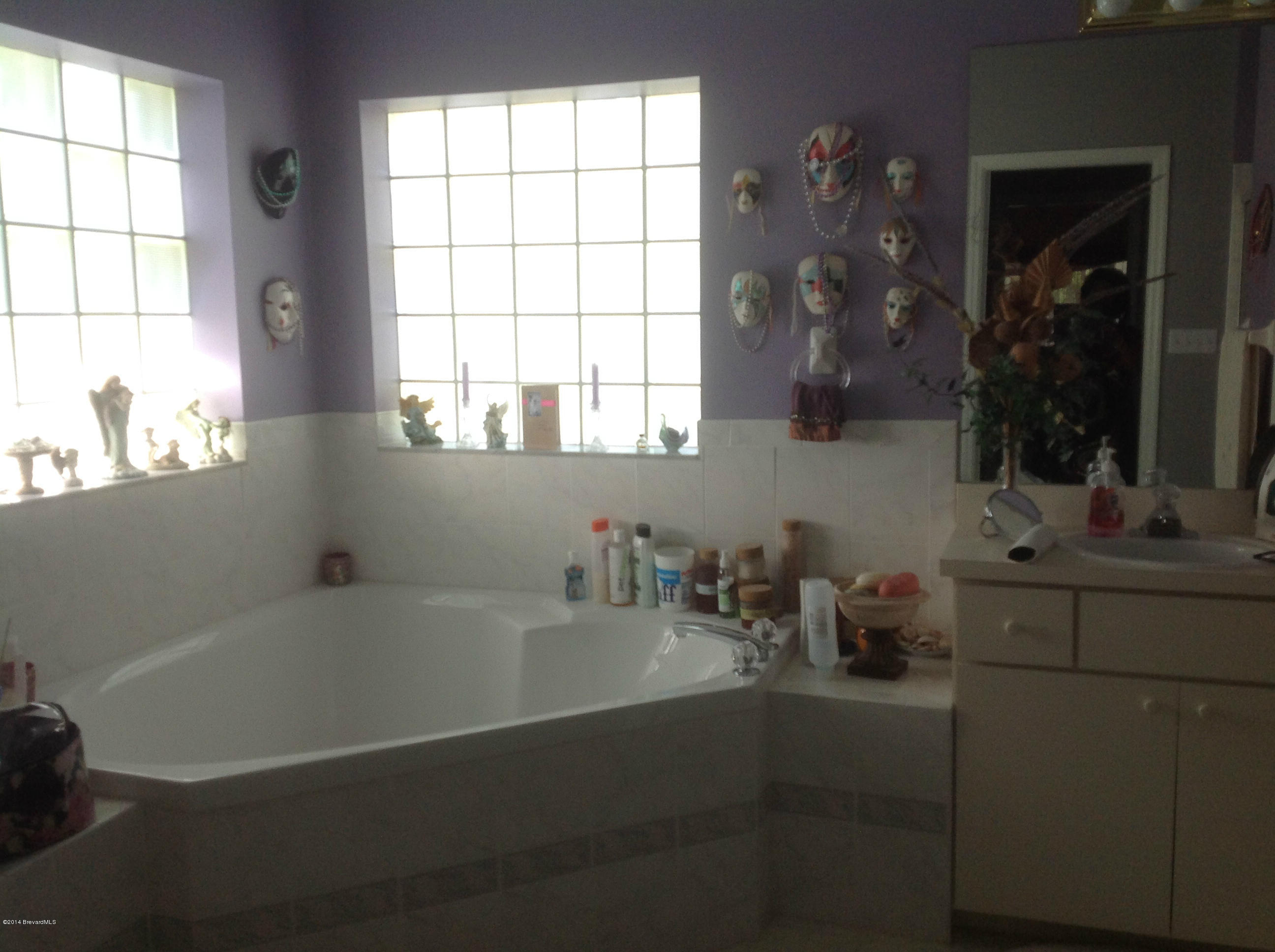 3281 Reef Road Southeast Palm Bay, FL 32909 - Photo 4 of 12 Master Bath View 1