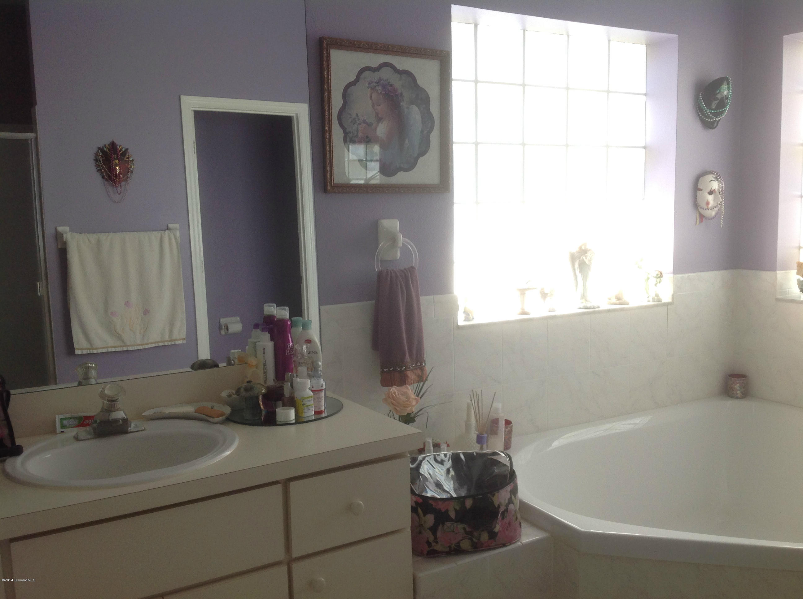 3281 Reef Road Southeast Palm Bay, FL 32909 - Photo 5 of 12 Master Bath View 2