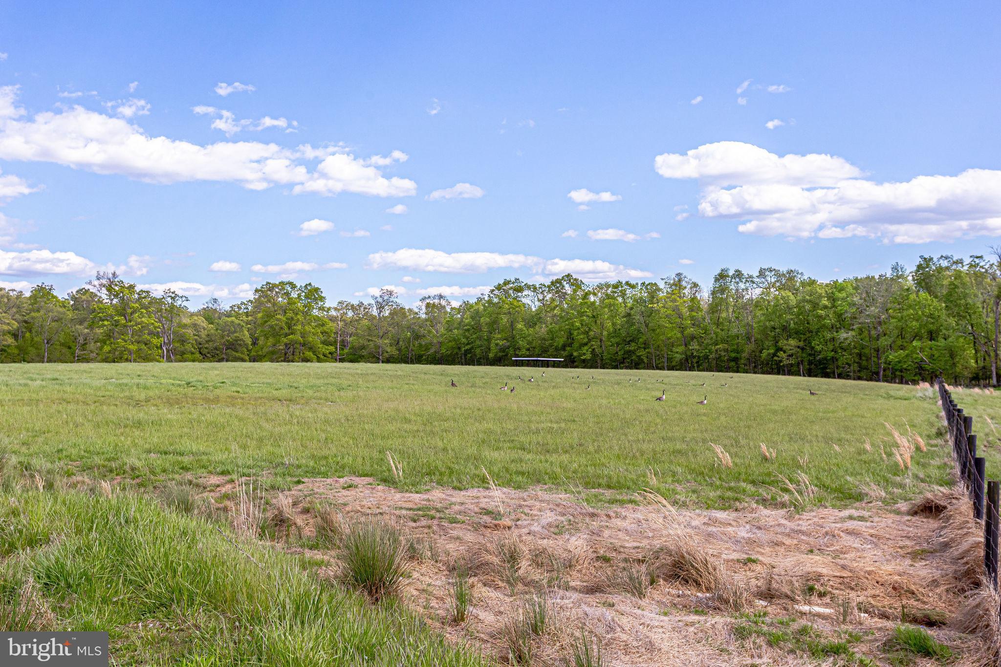 2 Lucketts Road Leesburg, VA 20176 - Photo 3 of 16 Gallery Image 3