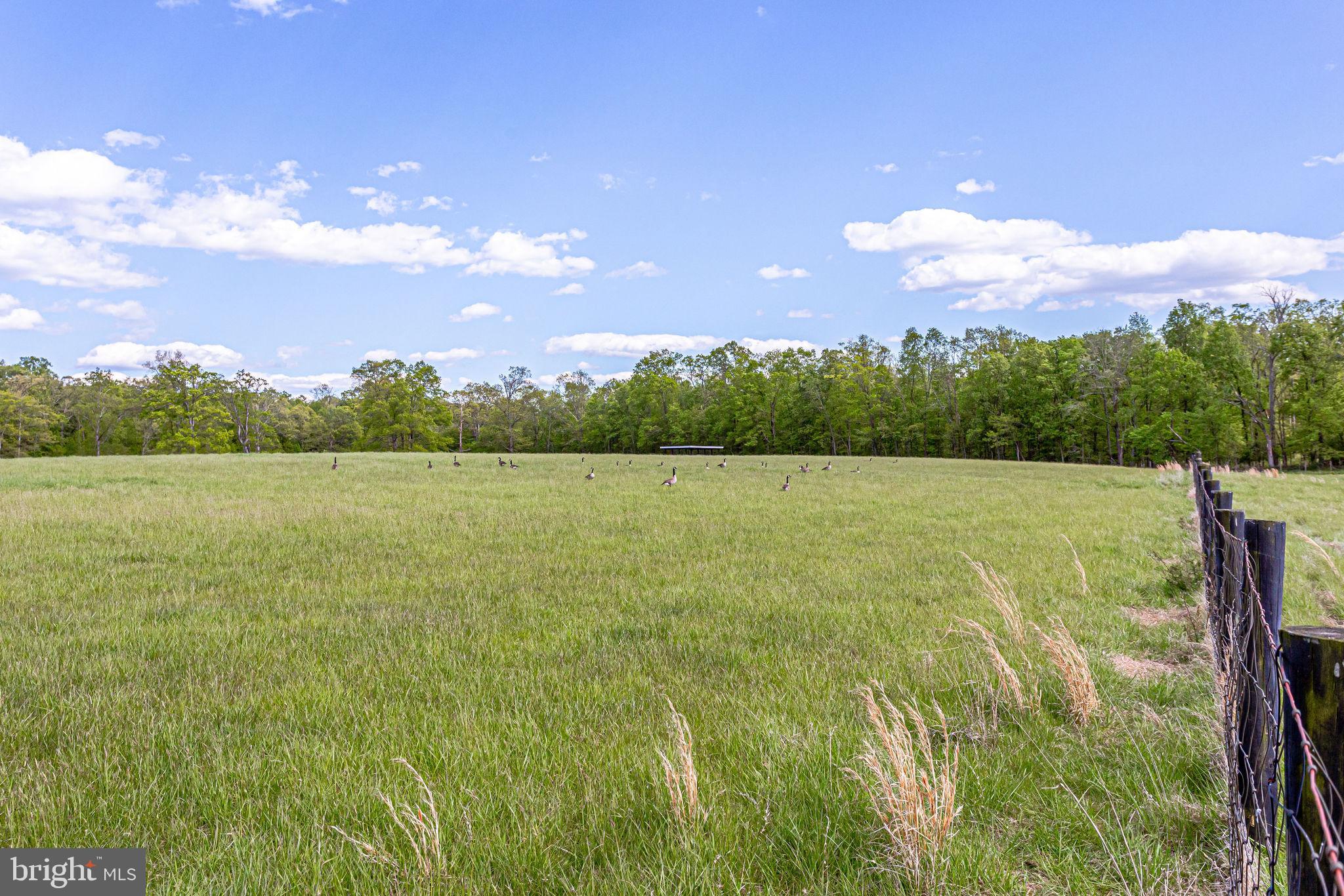 2 Lucketts Road Leesburg, VA 20176 - Photo 4 of 16 Gallery Image 4