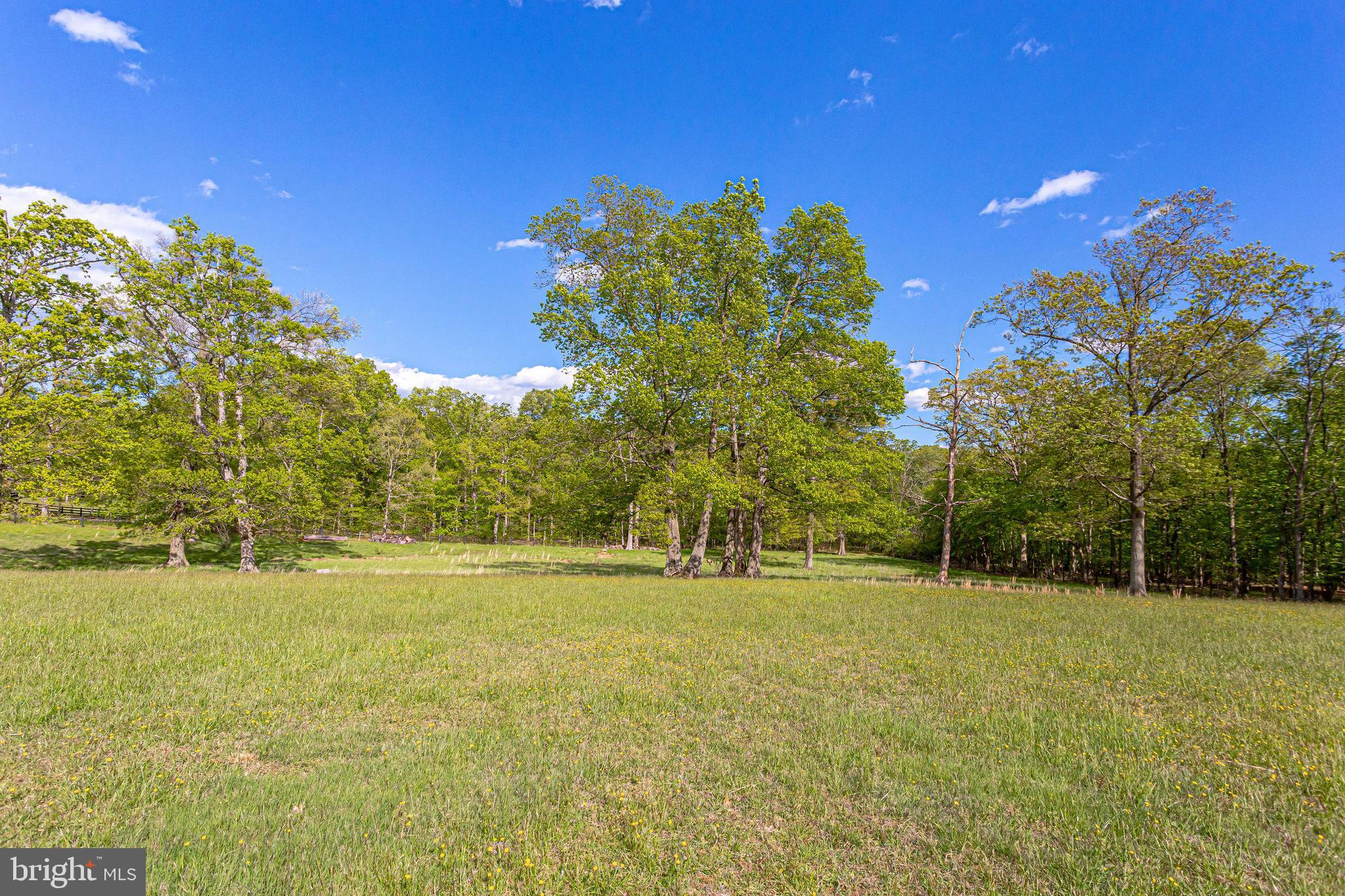 2 Lucketts Road Leesburg, VA 20176 - Photo 6 of 16 Gallery Image 6