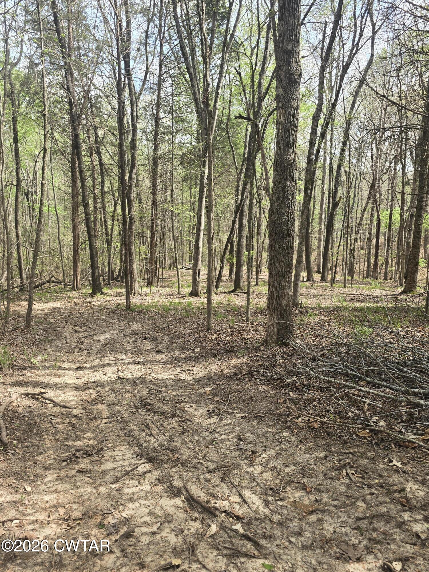 2700 Independence Road Huntingdon, TN 38344 - Photo 1 of 4 20260401_144319