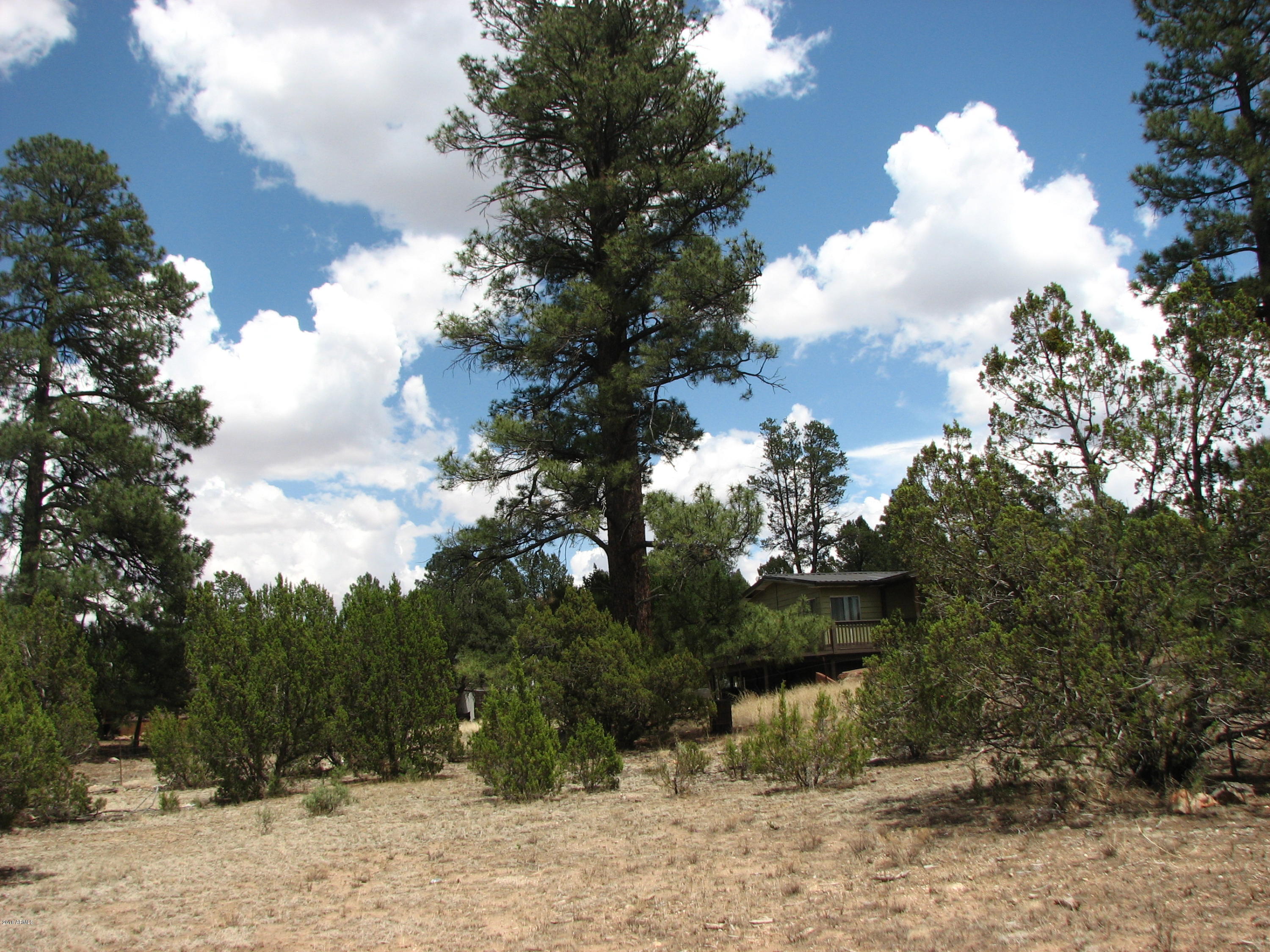 2052 Cherokee Strip Road, Unit 11C Overgaard, AZ 85933 - Photo 7 of 8 7