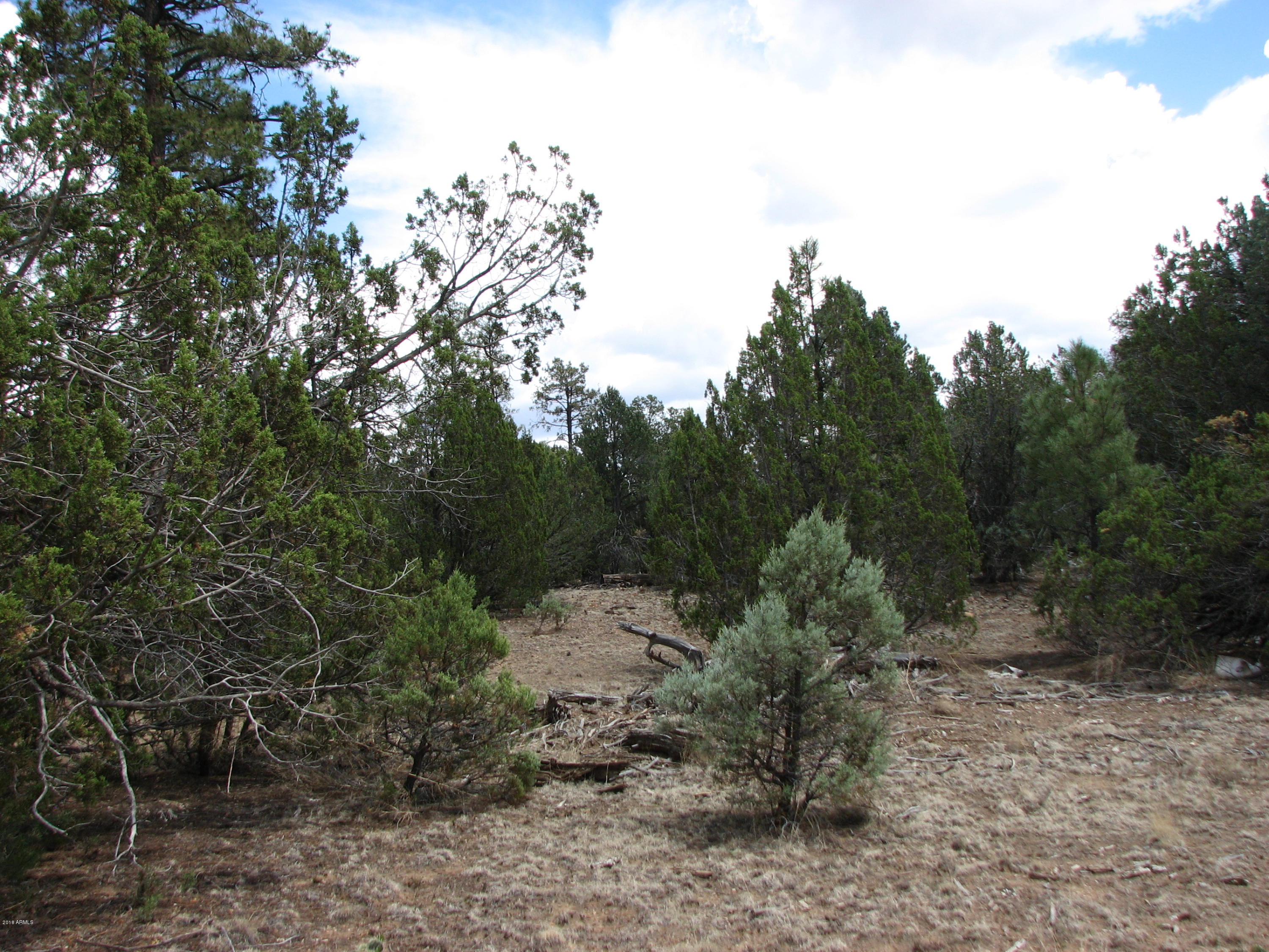 2052 Cherokee Strip Road, Unit 11C Overgaard, AZ 85933 - Photo 8 of 8 8