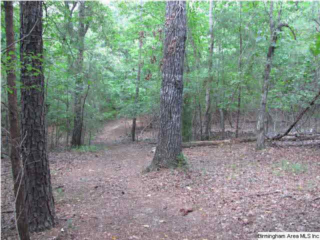 100 Cahaba Oaks Trail Pelham, AL 35124 - Photo 22 of 24