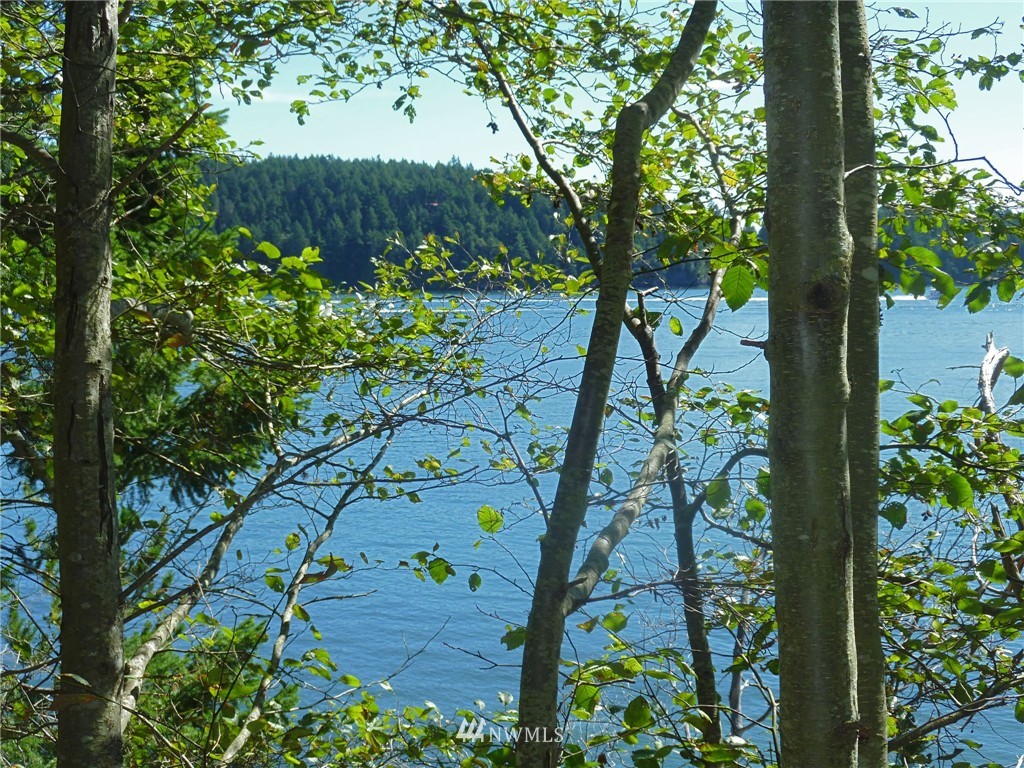 11 Circle Road Eastsound, WA 98245 - Photo 3 of 18 Gallery Image 3