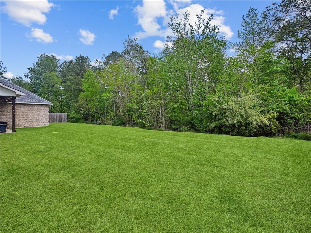 205 Saw Grass Loop Covington, LA 70435 - Photo 49 of 51 Gallery Image 49