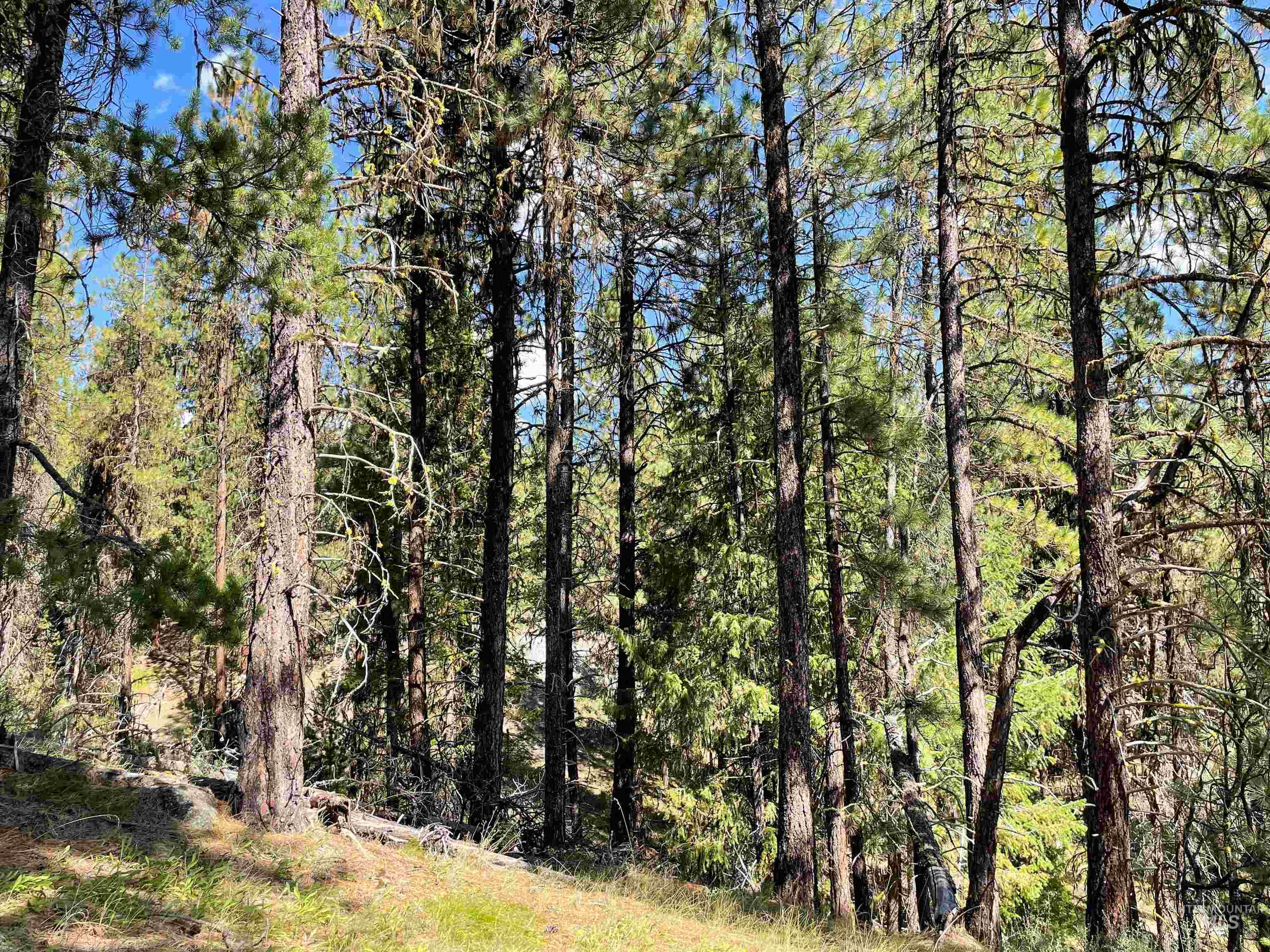 1-2 Horesthief Road Cascade, ID 83611 - Photo 6 of 9