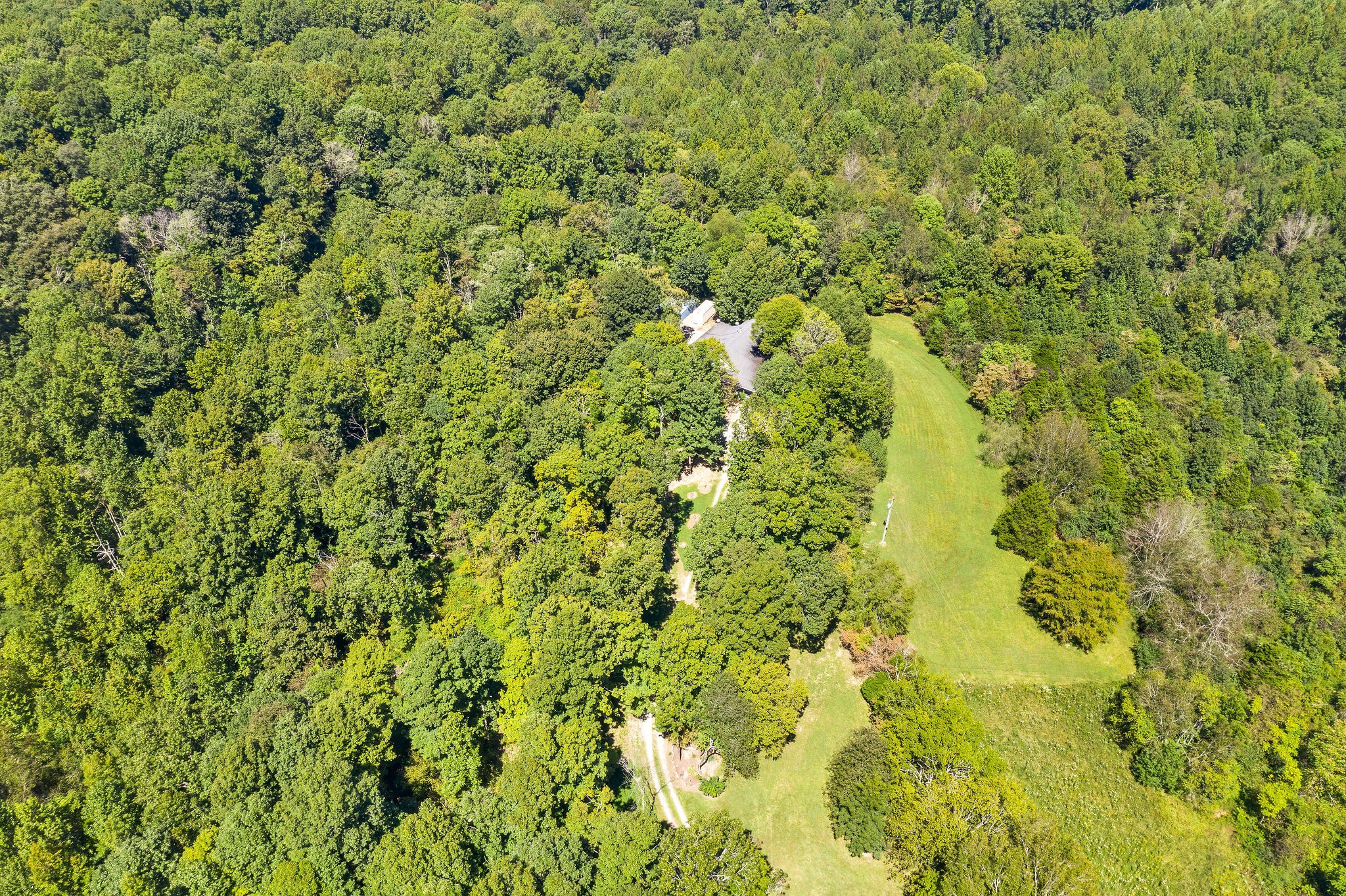 3250 Luther Ragan Road Palmyra, TN 37142 - Photo 3 of 44 a view of a big yard with plants and large trees