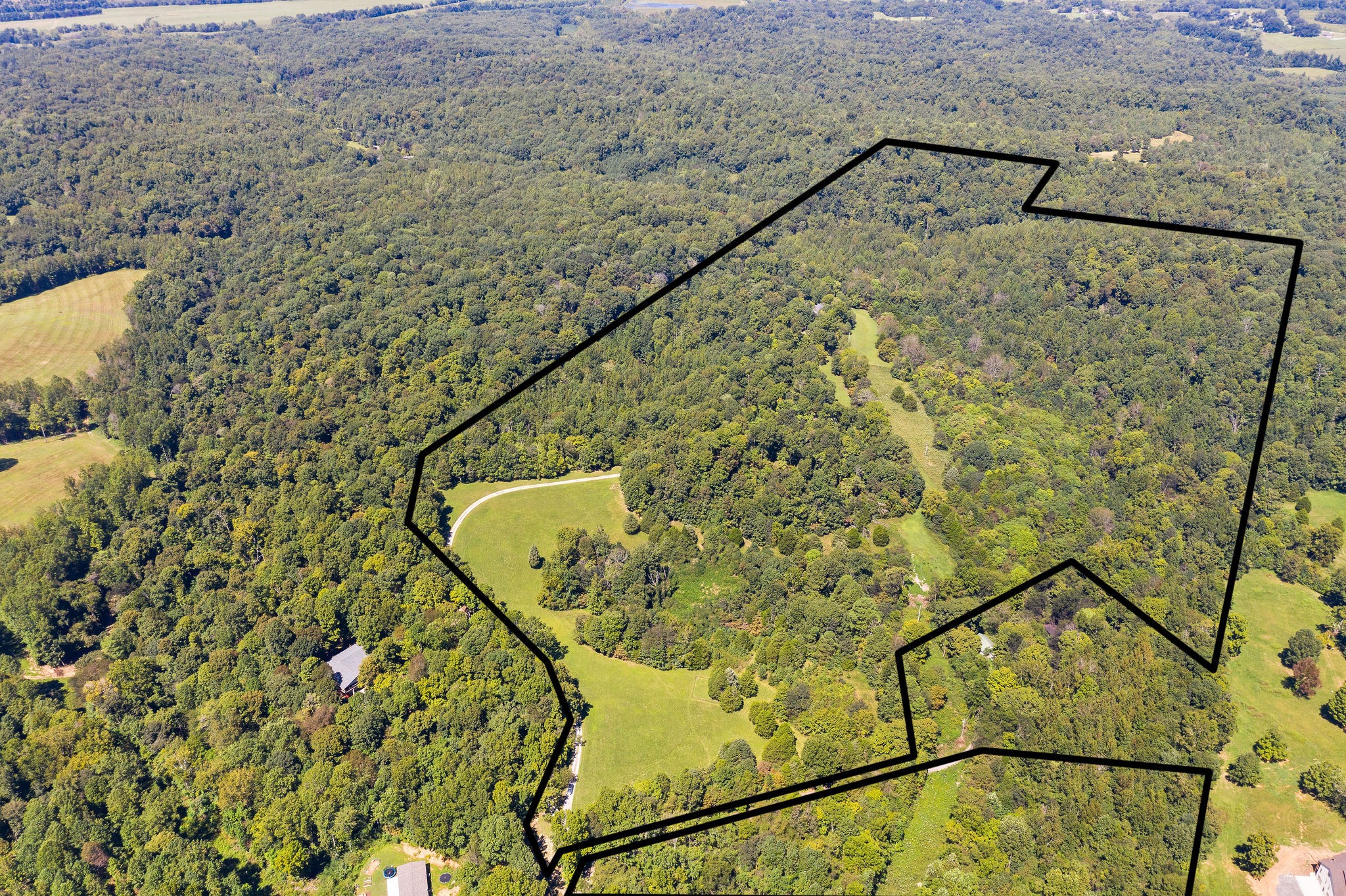 3250 Luther Ragan Road Palmyra, TN 37142 - Photo 4 of 44