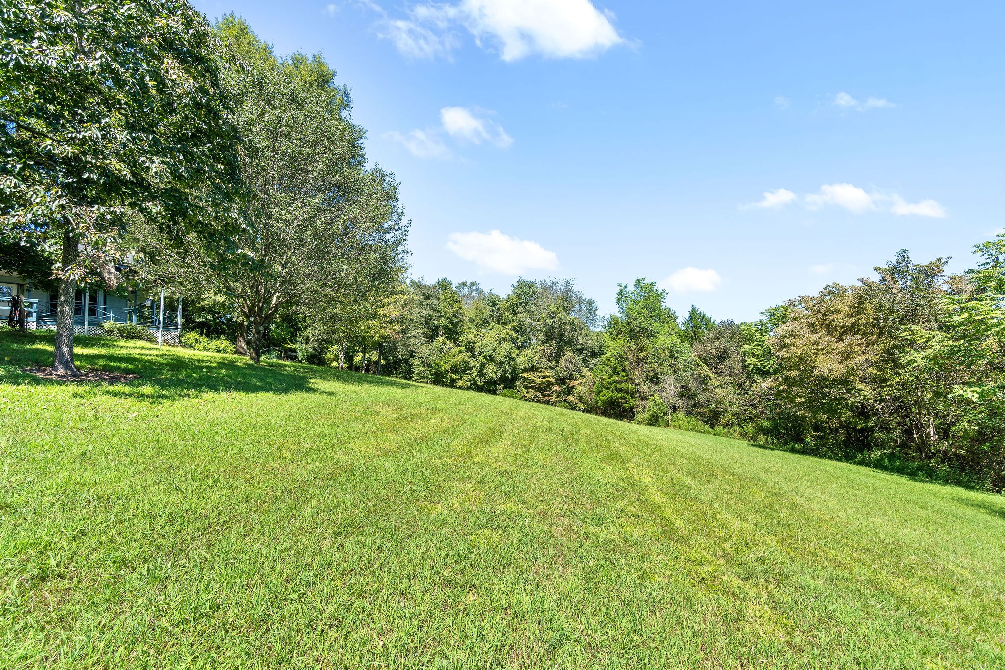 3250 Luther Ragan Road Palmyra, TN 37142 - Photo 34 of 44 a view of a grassy field with trees