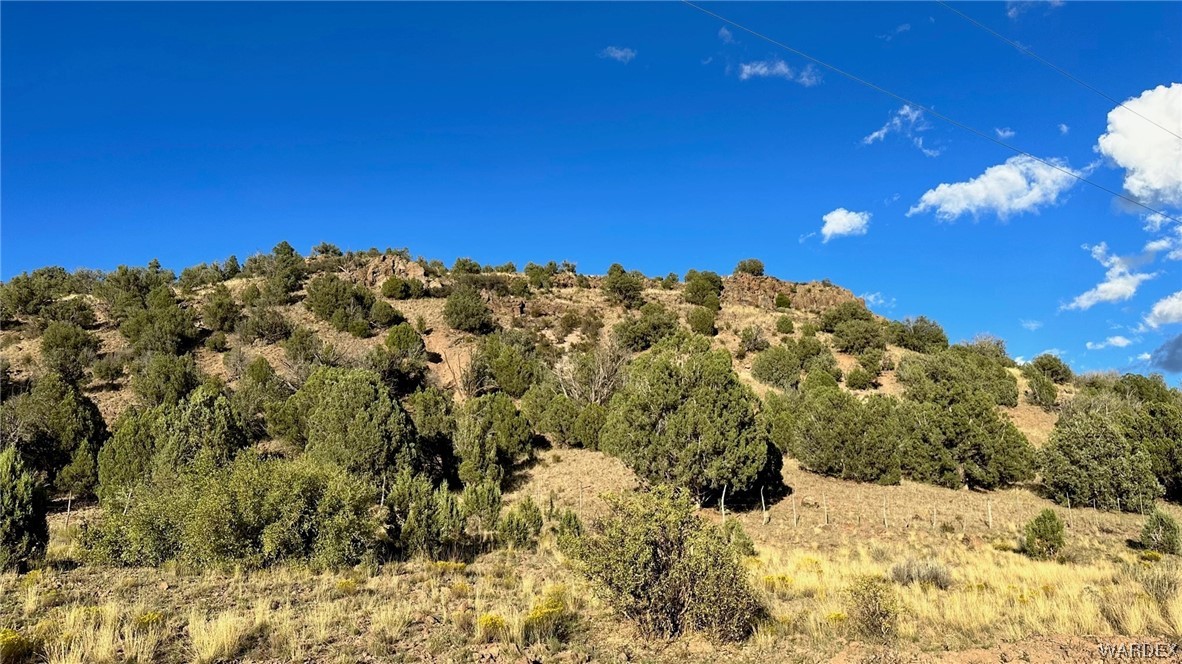 297 North Willows Ranch Road Kingman, AZ 86401 - Photo 9 of 13