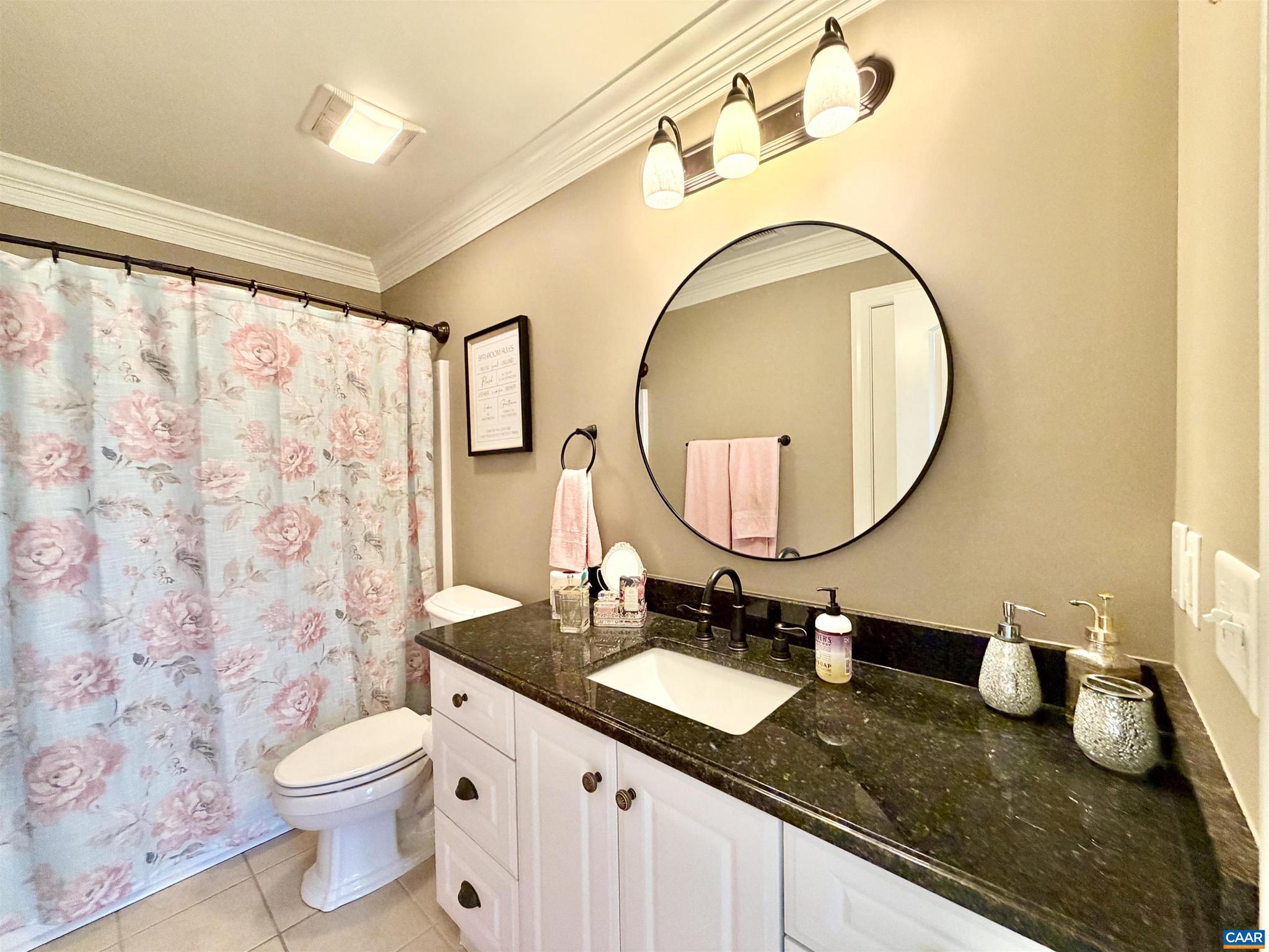 4605 Blue Run Road Somerset, VA 22972 - Photo 28 of 56 a bathroom with a granite countertop sink mirror vanity and toilet