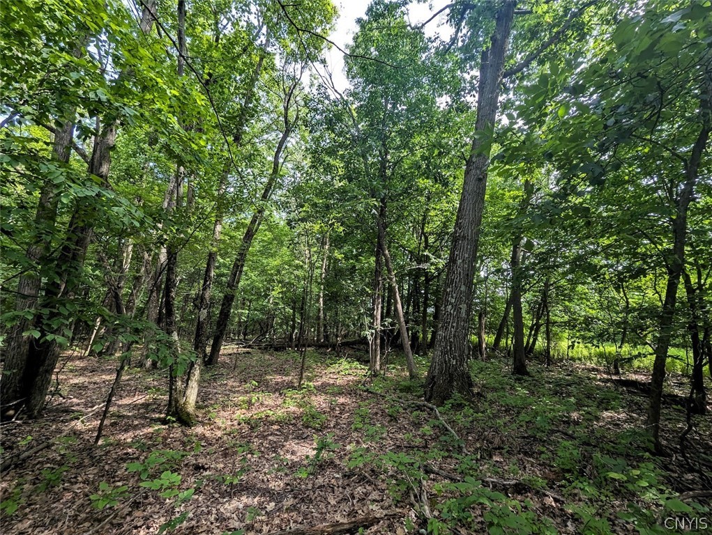 Keifer Hollow Road Dansville, NY 14437 - Photo 17 of 33