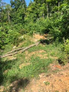 0 Smalling Road Johnson City, TN 37601 - Photo 24 of 25 IMG_2575