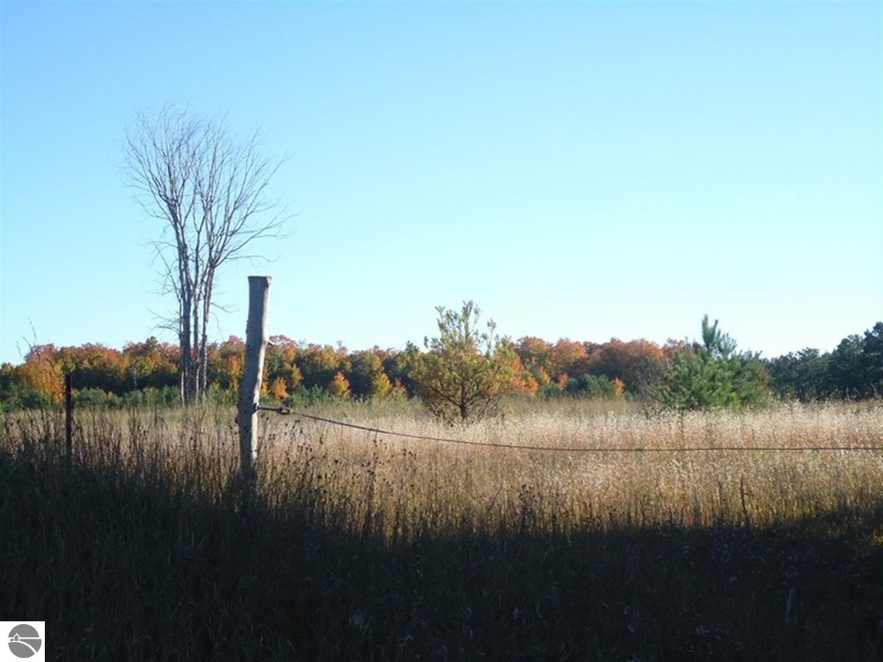 3830 Bowerman Road Kingsley, MI 49649 - Photo 5 of 26 1777246-4.JPG