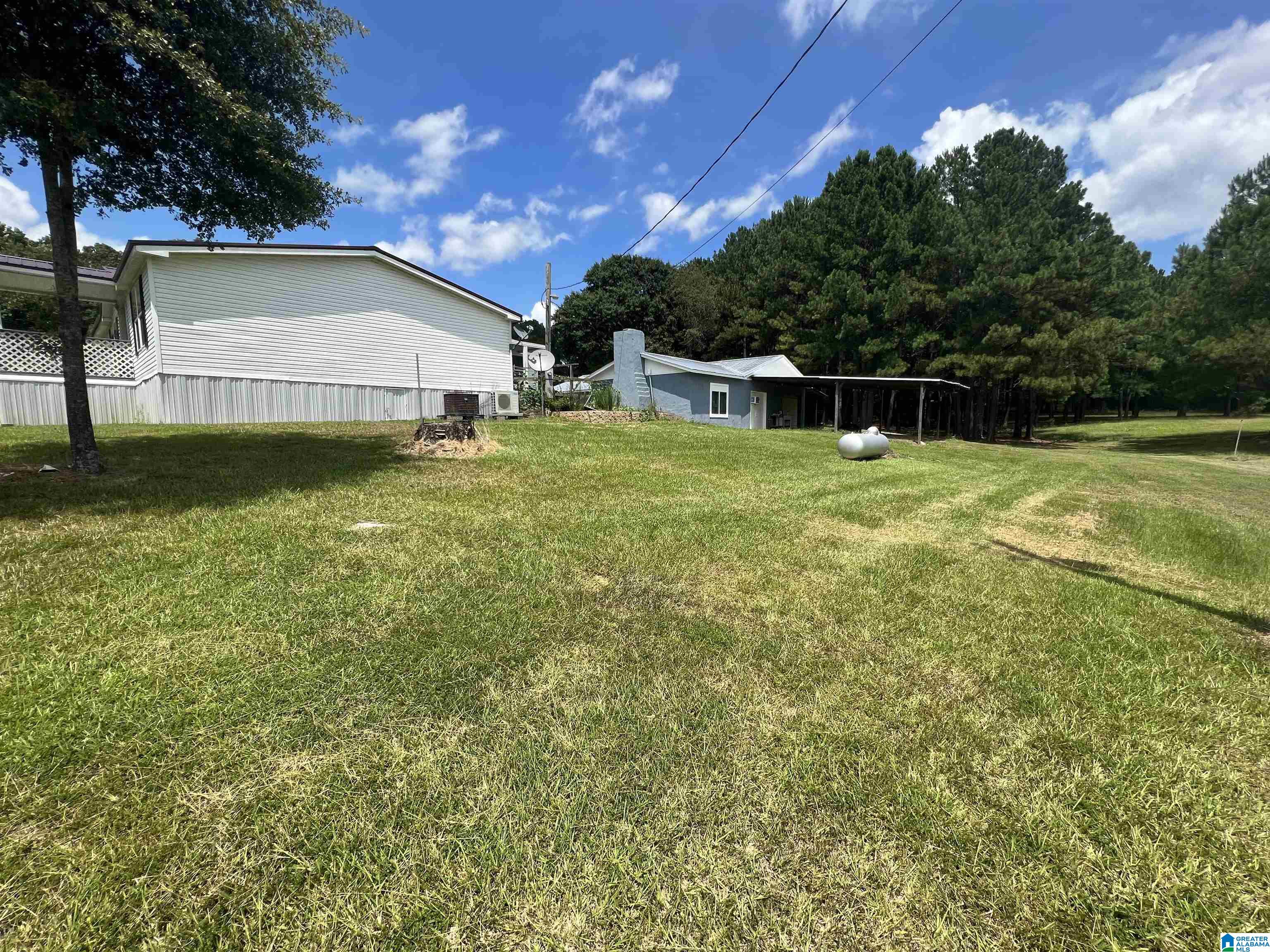 631 Buttermilk Road Cordova, AL 35550 - Photo 22 of 30
