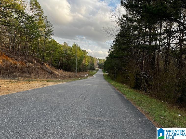 879 County Road 772 Montevallo, AL 35115 - Photo 2 of 8