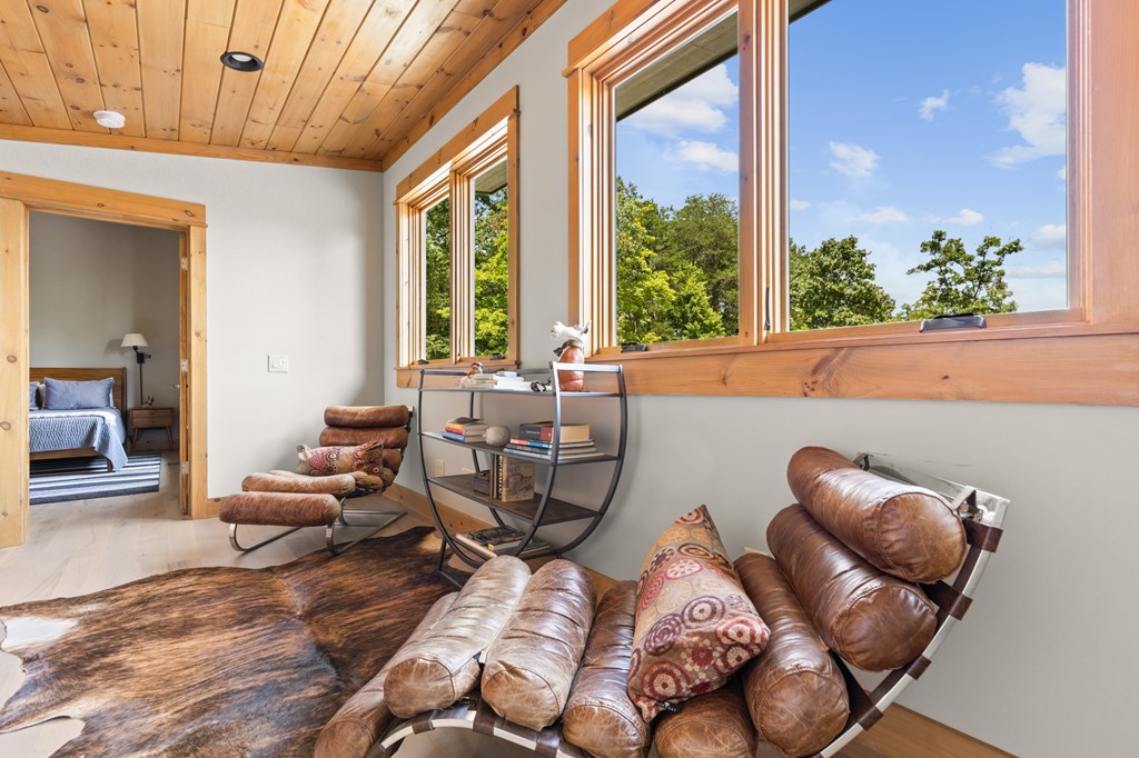 308 Woodthrush Drive Blue Ridge, GA 30513 - Photo 45 of 60