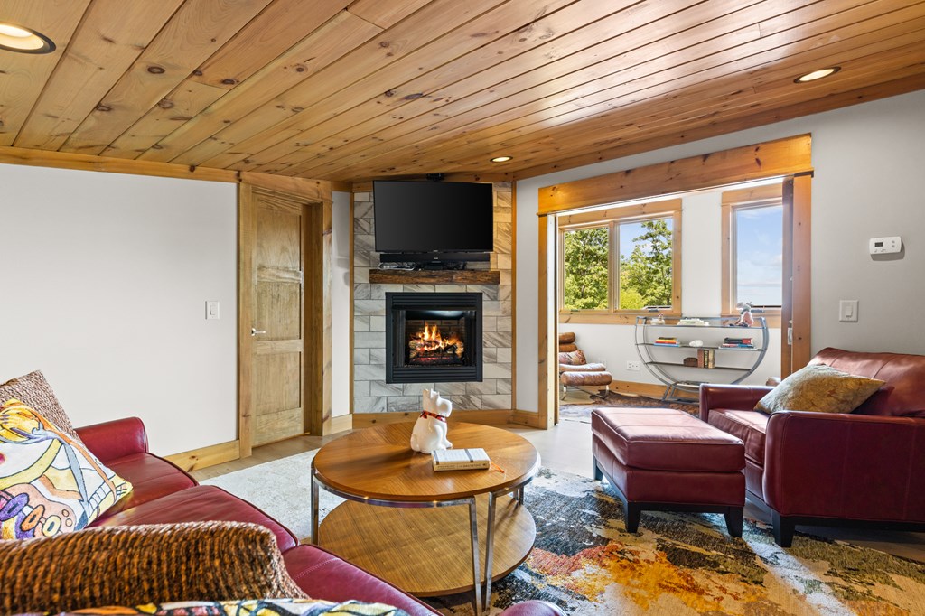 308 Woodthrush Drive Blue Ridge, GA 30513 - Photo 48 of 60