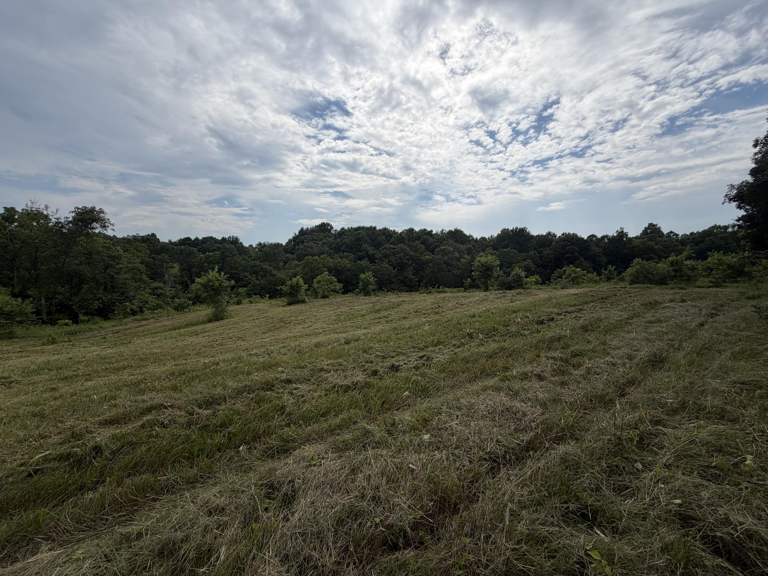 0 Swope Natlee Road Corinth, KY 41010 - Photo 6 of 16 IMG_4930