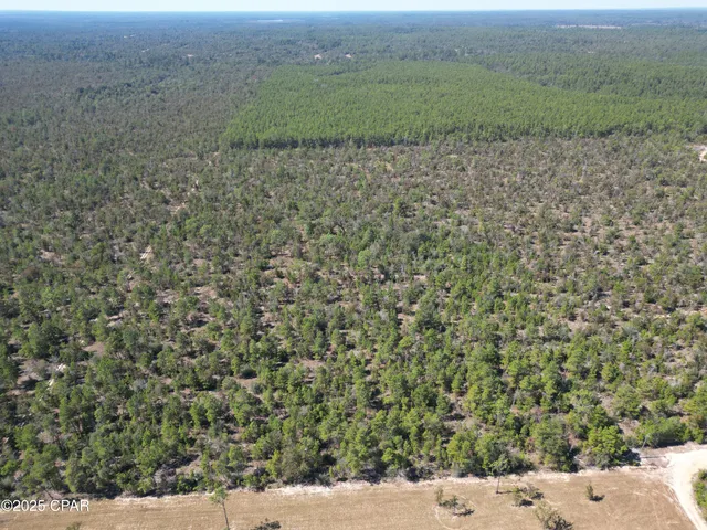 $222,750 | 50 Fox Hunt Road, Chipley, FL 32428