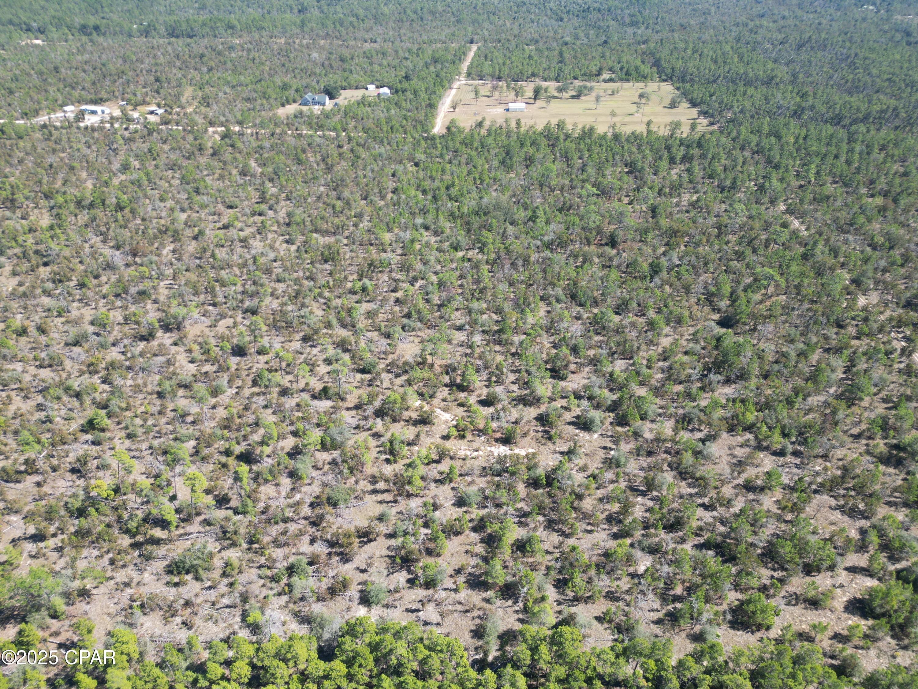 50 Fox Hunt Road Chipley, FL 32428 - Photo 3 of 13