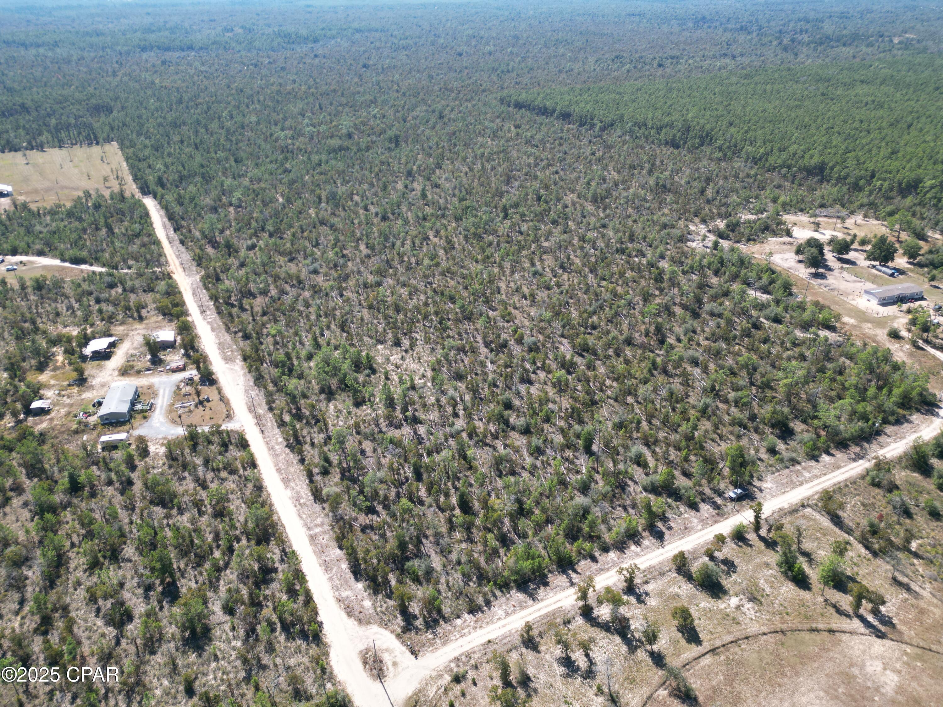 50 Fox Hunt Road Chipley, FL 32428 - Photo 5 of 13