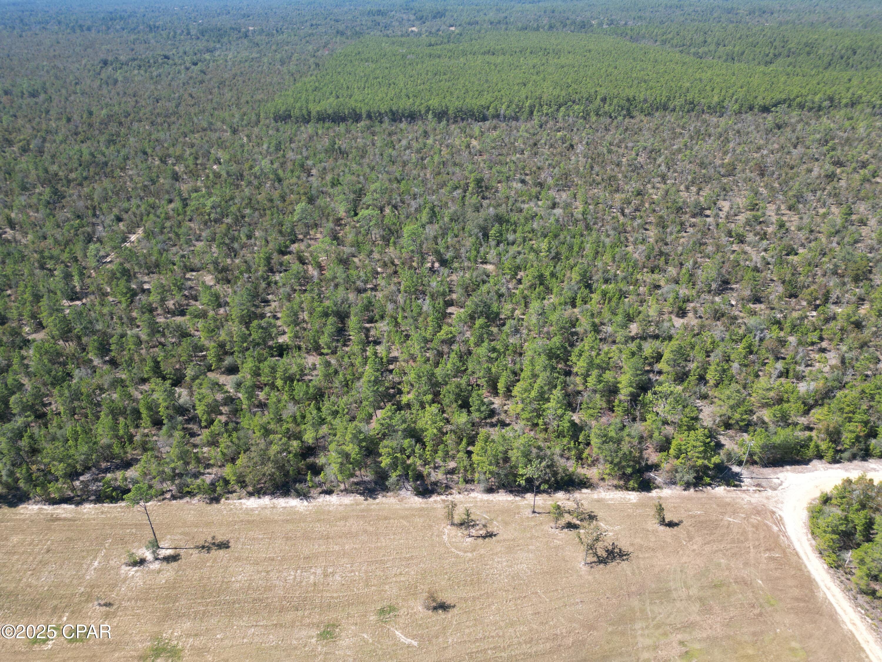 50 Fox Hunt Road Chipley, FL 32428 - Photo 7 of 13