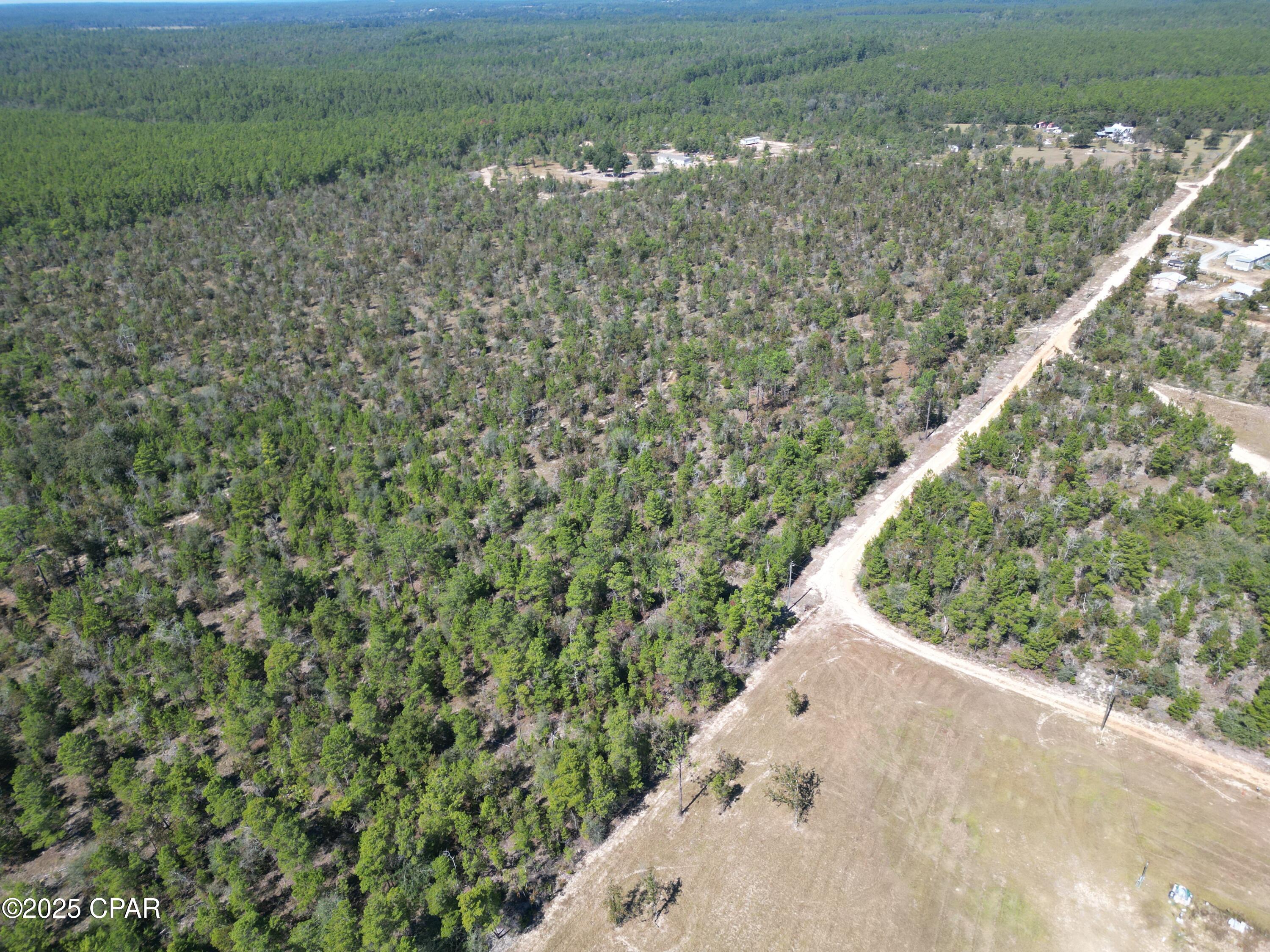 50 Fox Hunt Road Chipley, FL 32428 - Photo 8 of 13