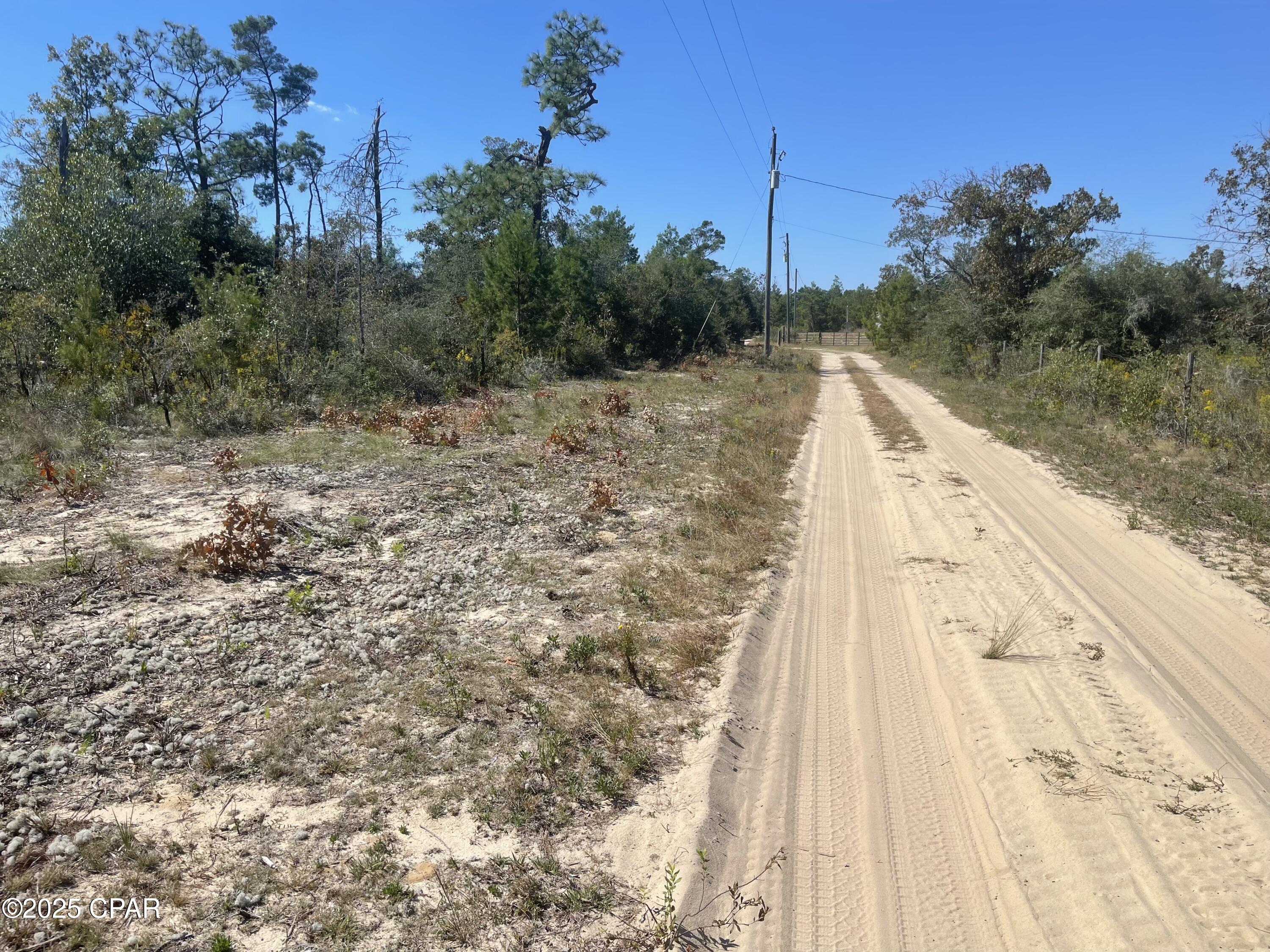 50 Fox Hunt Road Chipley, FL 32428 - Photo 9 of 13