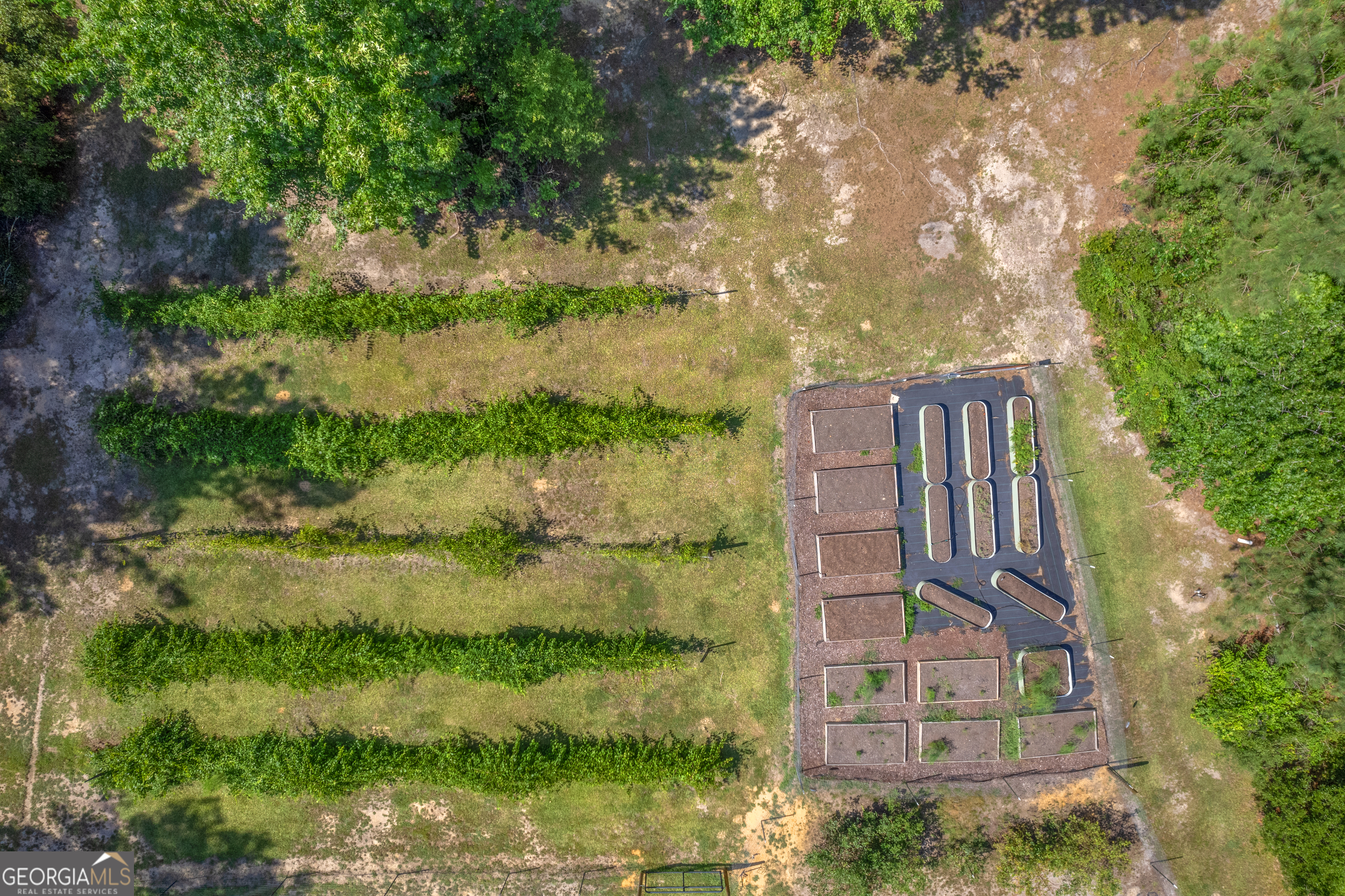1269 Tarver Road Davisboro, GA 31018 - Photo 22 of 64