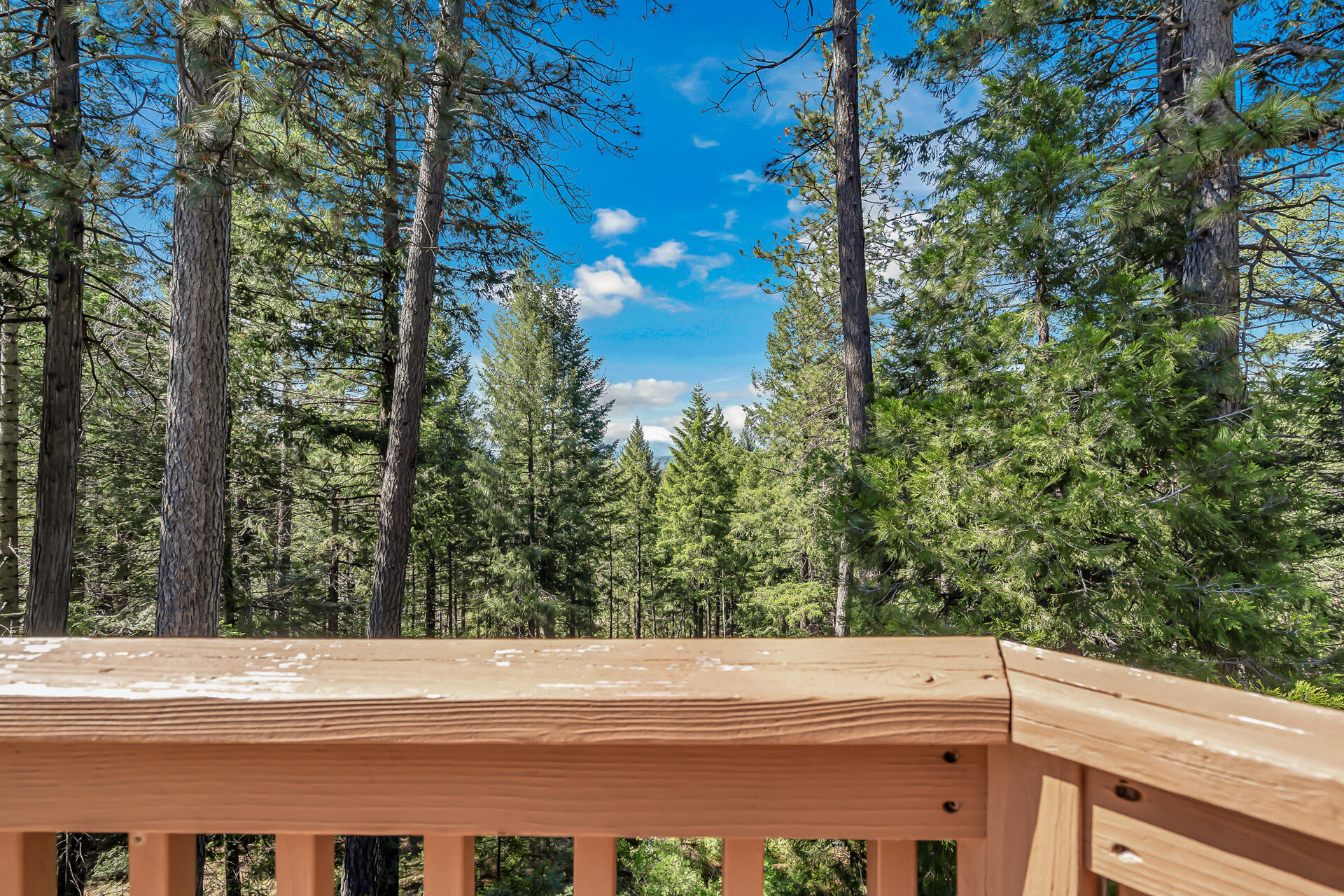 15368 Star Flower Road Oak Run, CA 96069 - Photo 13 of 63 a view of a yard and mountain view