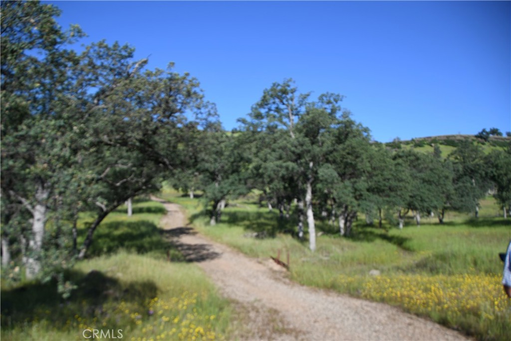 0 Cobble Creek Road Oroville, CA 95965 - Photo 48 of 55 a backyard of a house with a yard and outdoor seating