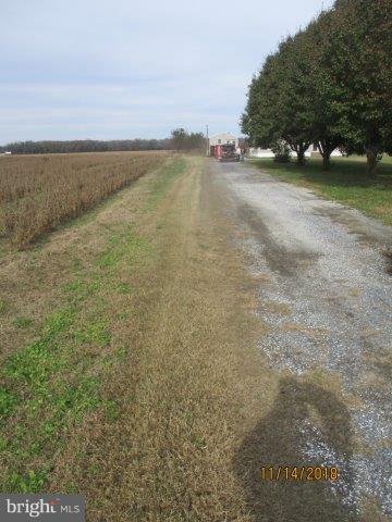 10937 Salt Barn Road Laurel, DE 19956 - Photo 12 of 12 Drive way to house from main road
