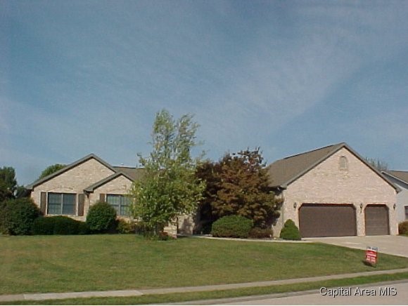 9 Gilson Drive Rochester, IL 62563 - Photo 1 of 8