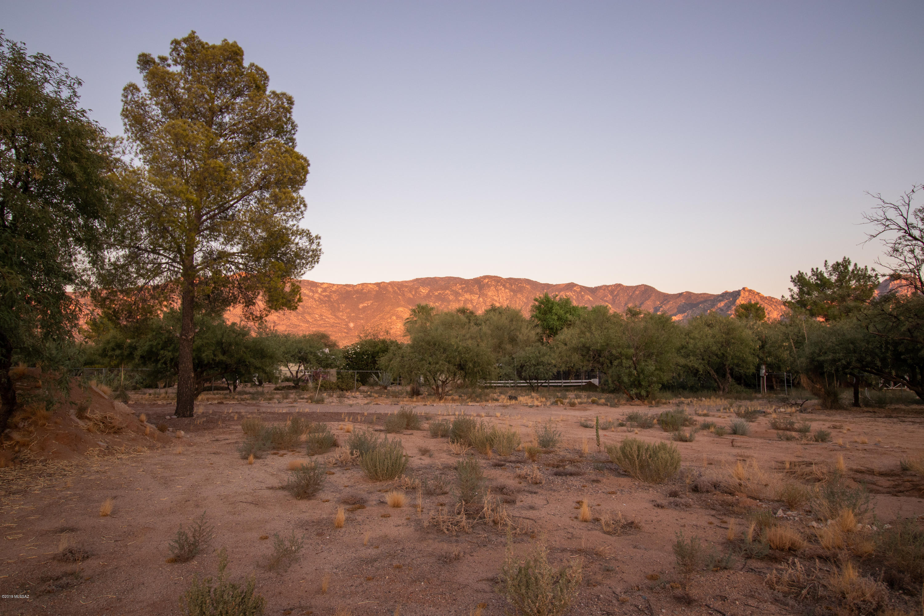 3950 East Wilds Road Tucson, AZ 85739 - Photo 2 of 15
