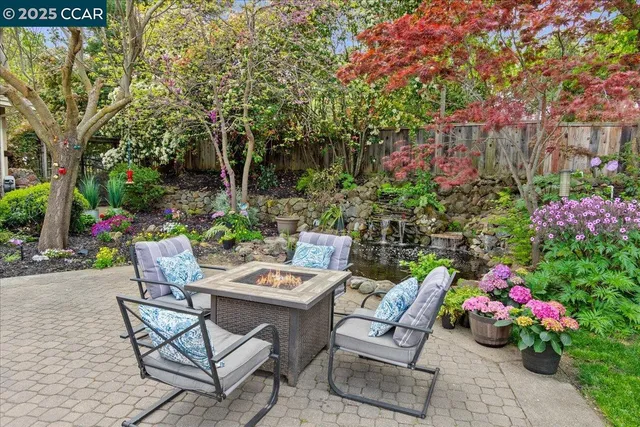 a view of a garden with plants and a bench