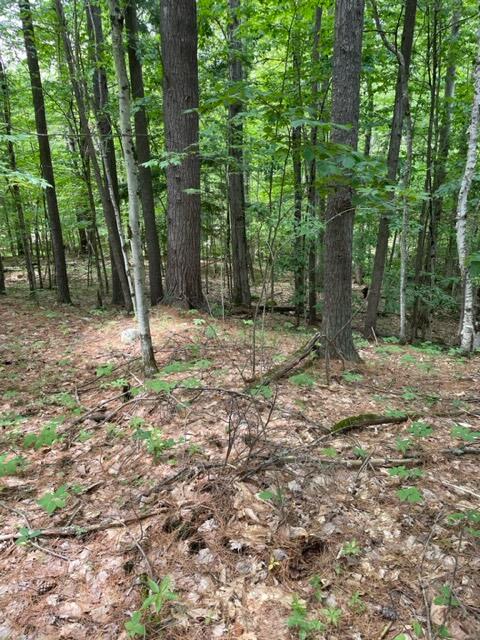 0 Ridge Top Road Jay, NY 12941 - Photo 2 of 2