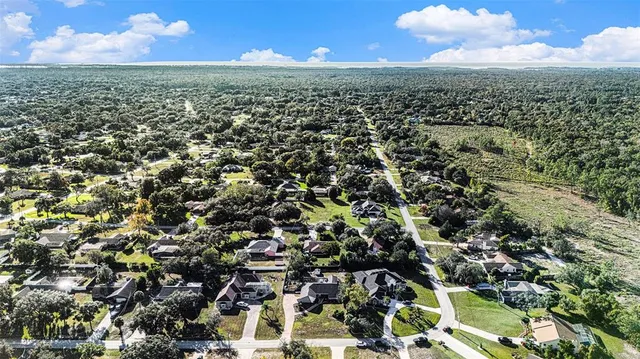 an aerial view of residential houses with outdoor space and trees