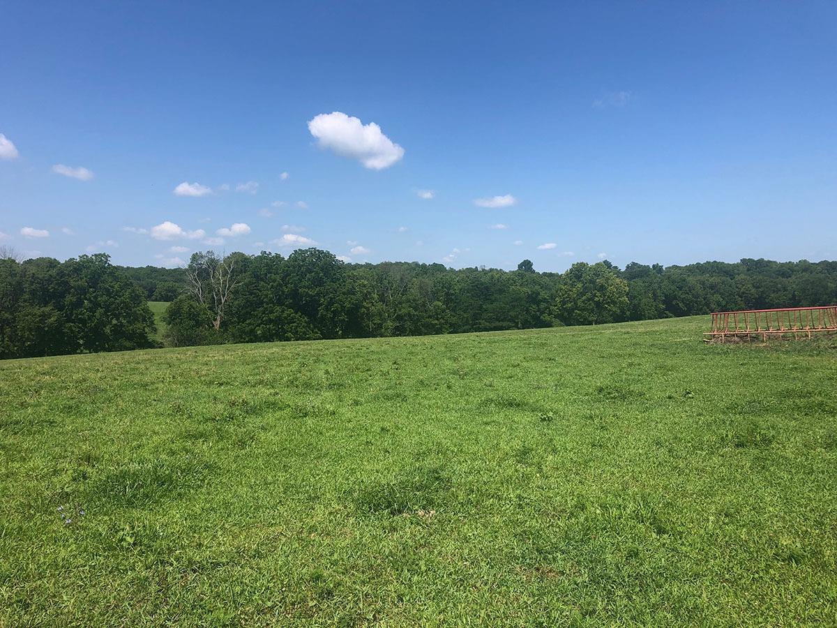 1081 Stoney Point Road Paris, KY 40361 - Photo 5 of 8 Photo 5