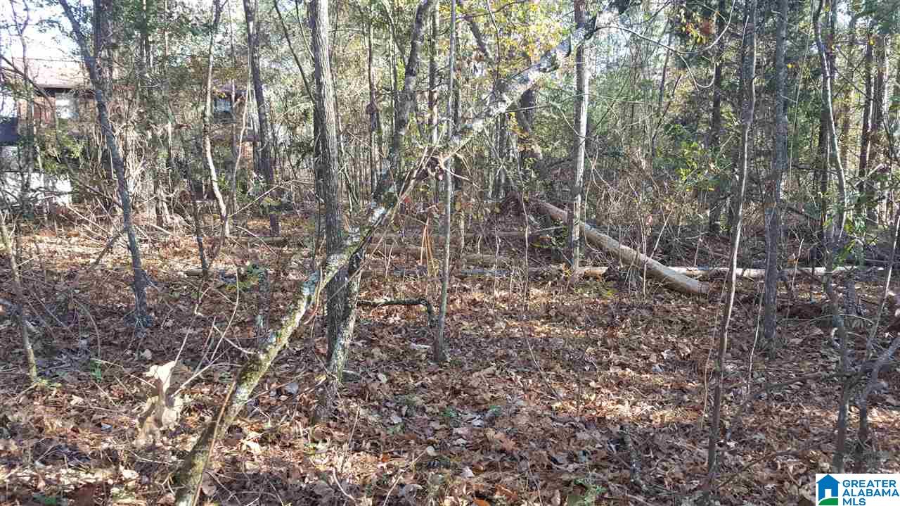 0 Haven Circle, Unit 39 Riverside, AL 35135 - Photo 11 of 32