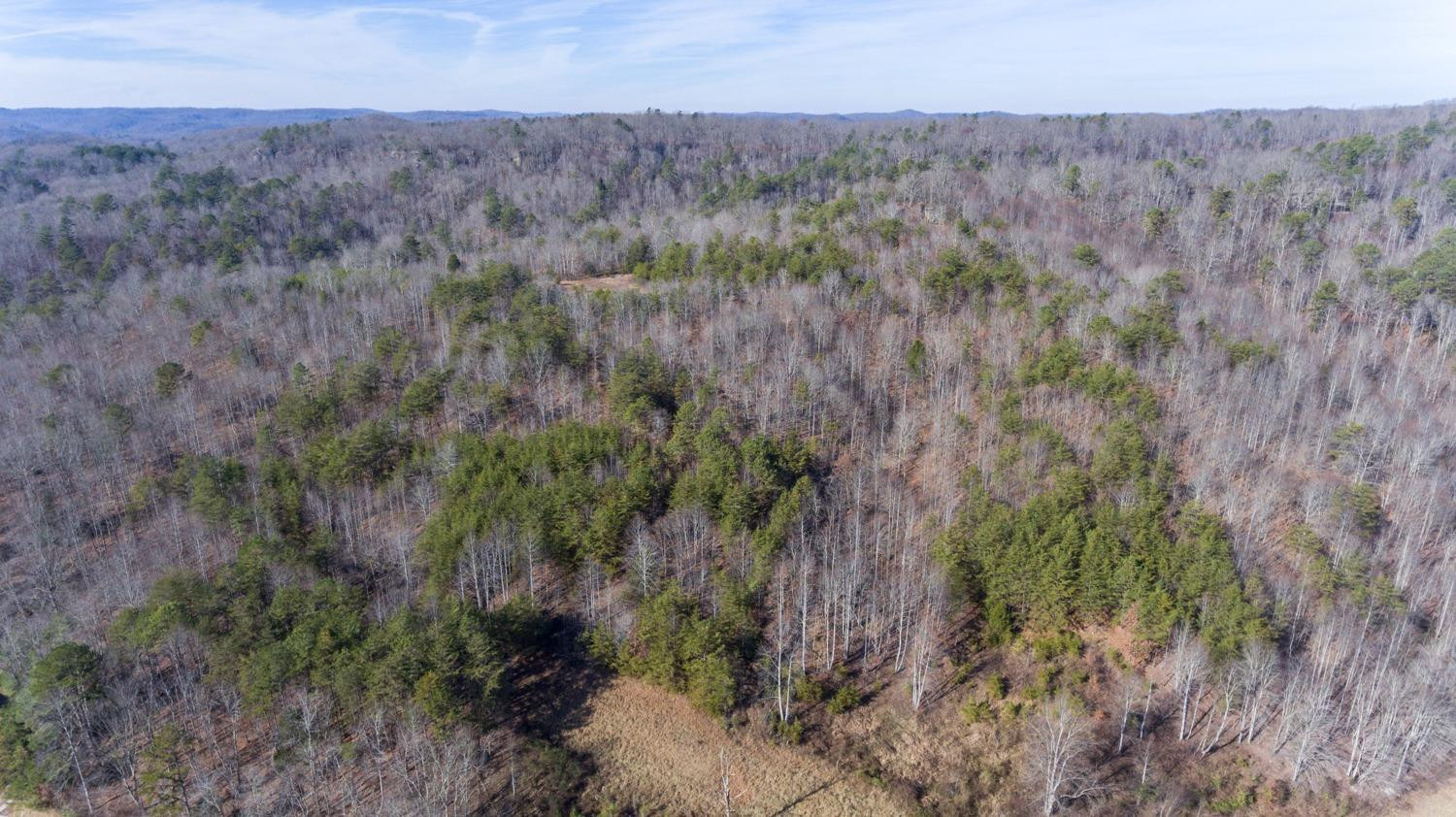 1077 Red Hill Road Livingston, KY 40445 - Photo 22 of 28 Listing Photo