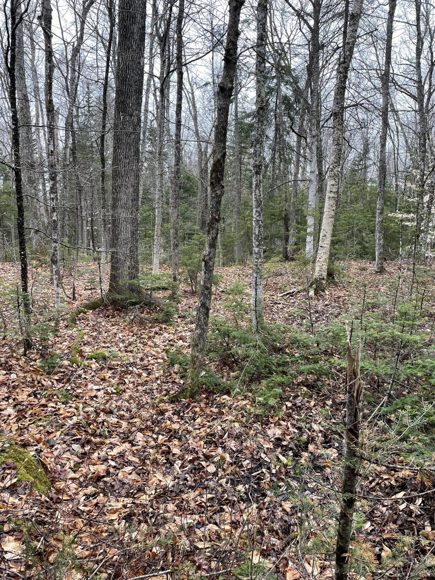 9 Heald Pond Road Moose River, ME 04945 - Photo 1 of 4 IMG_1732