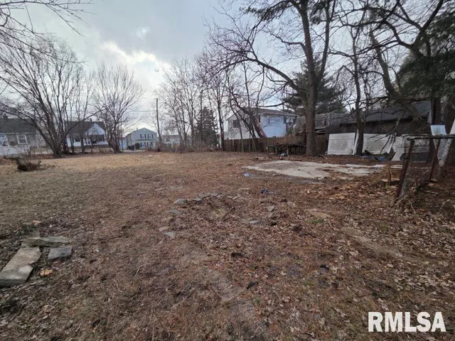 $28,000 | 1324 West Gilbert Avenue, Peoria, IL 61604