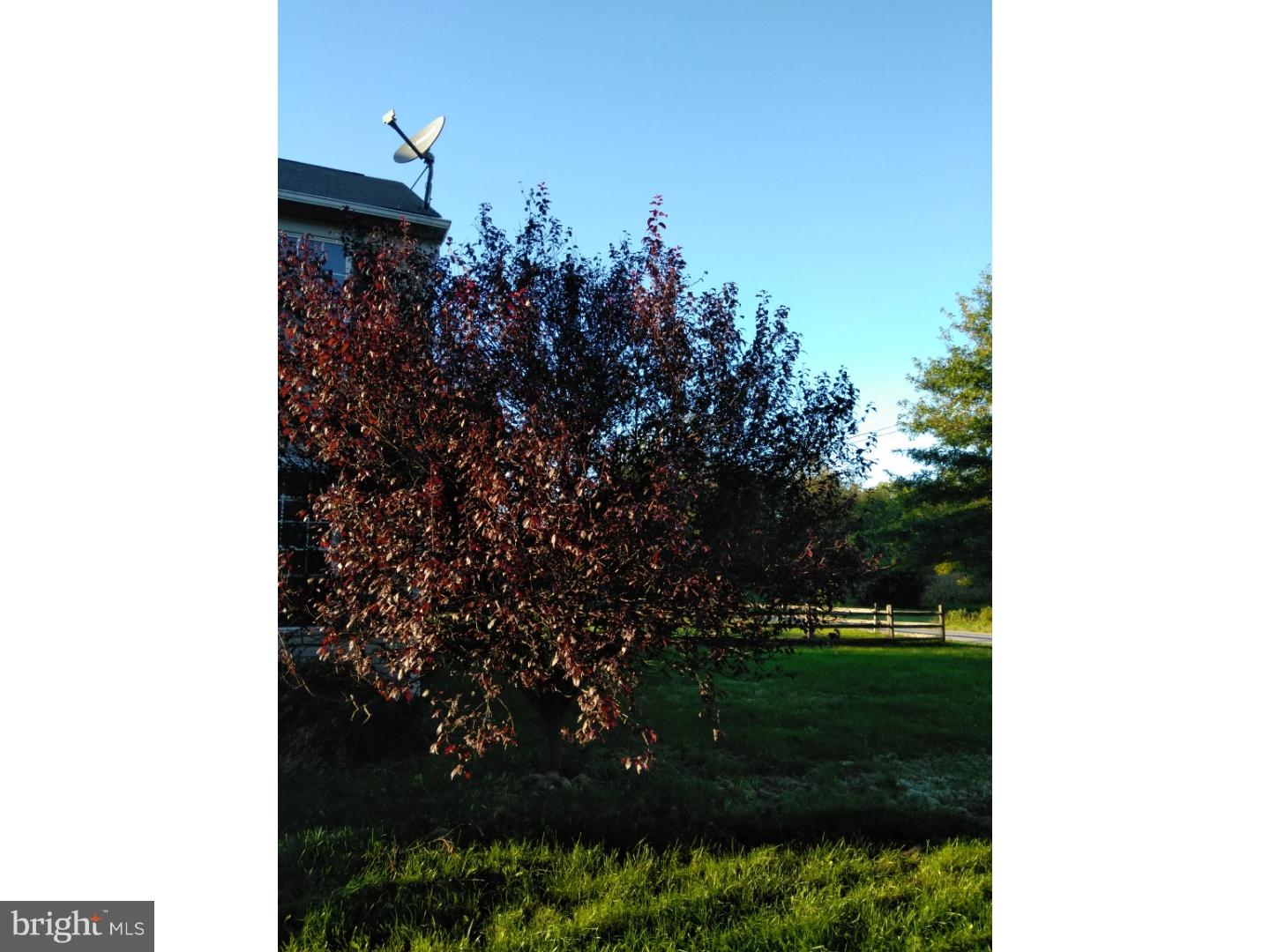 301 Brook Road Atglen, PA 19310 - Photo 15 of 17 Front Yard