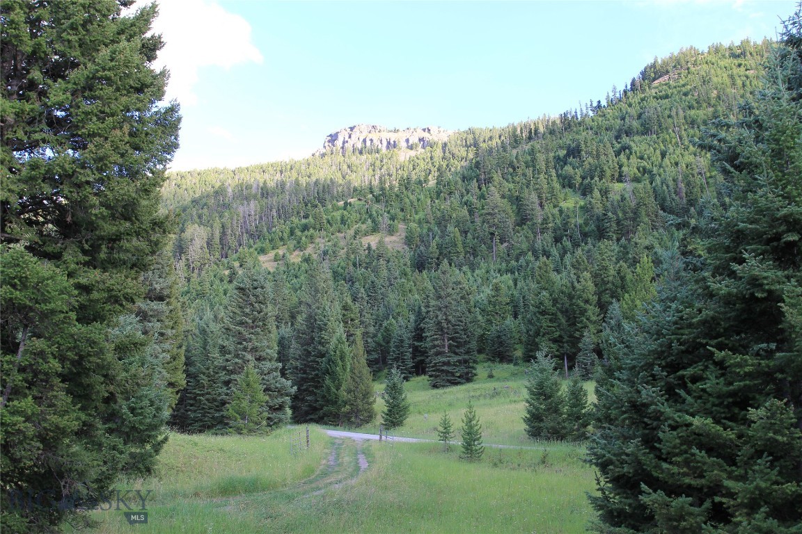 472 Rock Creek Road Emigrant, MT 59027 - Photo 10 of 39 Gallery Image 10